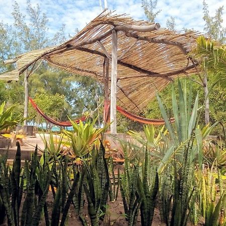Nzuwa Lodge Đảo Đảo Pemba Ngoại thất bức ảnh