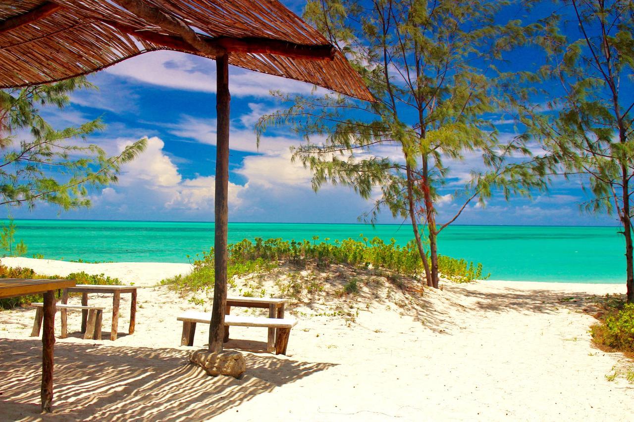 Nzuwa Lodge Đảo Đảo Pemba Ngoại thất bức ảnh