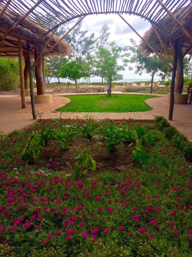 Nzuwa Lodge Đảo Đảo Pemba Ngoại thất bức ảnh