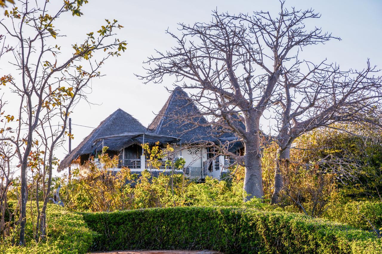Nzuwa Lodge Đảo Đảo Pemba Ngoại thất bức ảnh